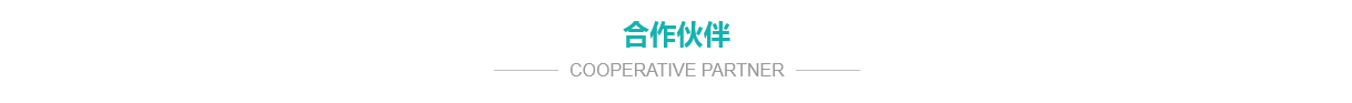公司簡介 公司簡介