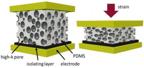 圖4-聚合物泡沫（PDMS）中被炭黑所覆蓋的導電孔.jpg